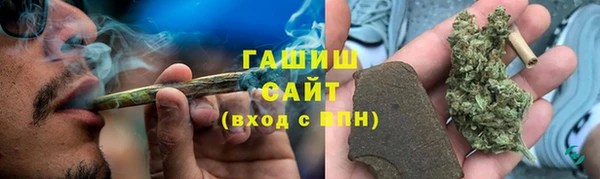 дмт Алзамай