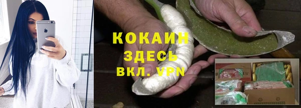 дмт Алзамай
