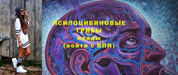 дмт Алзамай