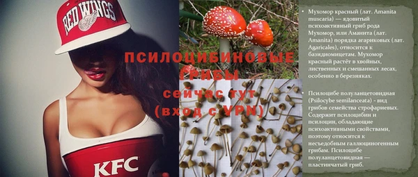 дмт Алзамай