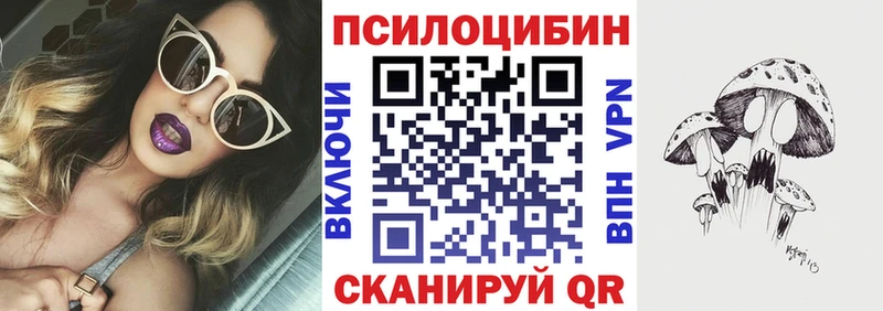 Псилоцибиновые грибы мицелий  Купить  Балей 